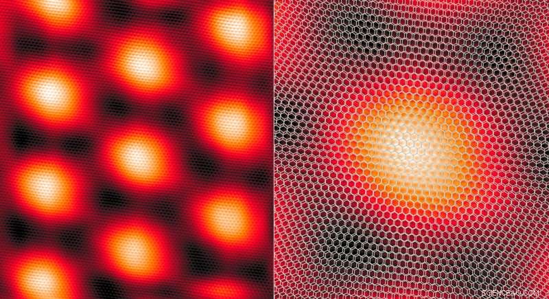 Exploring Shared Insulating Phases in Twisted Bilayer Graphene and Cuprate Superconductors