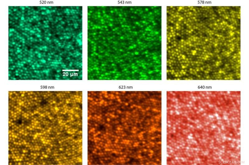 Advanced Eye Imaging System Corrects Chromatic Aberrations for Precise Visual Analysis