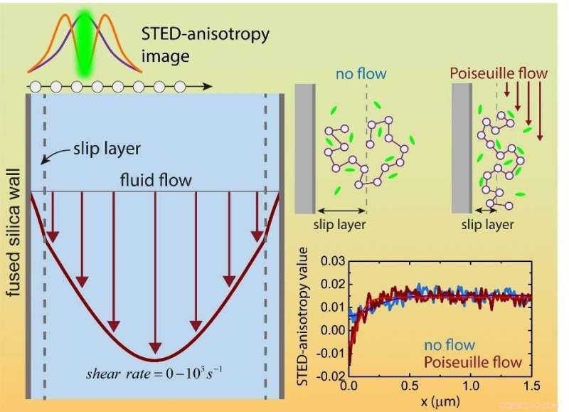 Understanding Slip Layer Dynamics: Why Fluids Flow Faster Than Predicted