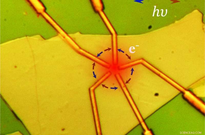 Control Quantum Material Electrics with Light: Harnessing Light to Tune Exotic Properties
