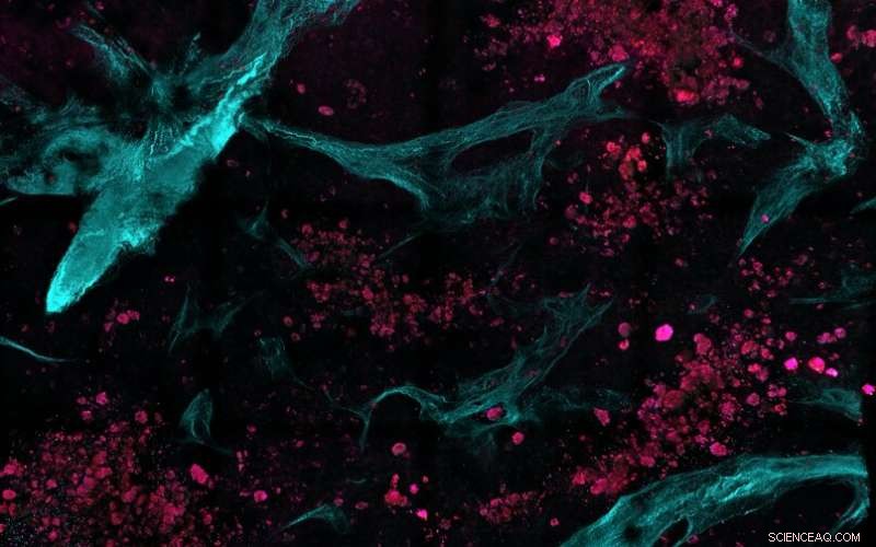 Advanced Non‑Invasive Imaging Detects Cancer at Molecular Precision