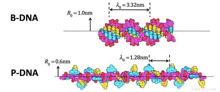 Kepler’s Symmetry Theories Offer a Dark‑Matter‑Free Explanation for Spiral Galaxies