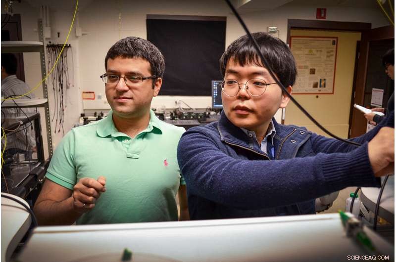 Researchers Suppress Backscattering to Enhance Optical Data Transmission Reliability