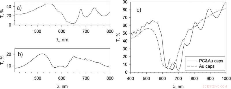 New Plasmonic-Photonic Crystal Studies Promise Breakthroughs in Laser and Sensor Technology