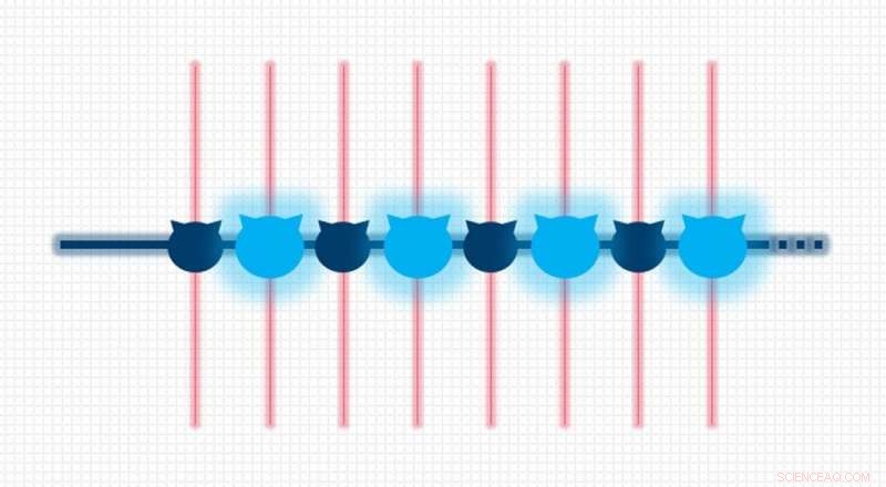 20‑Qubit Schrödinger Cat State Demonstrated in Quantum Computing