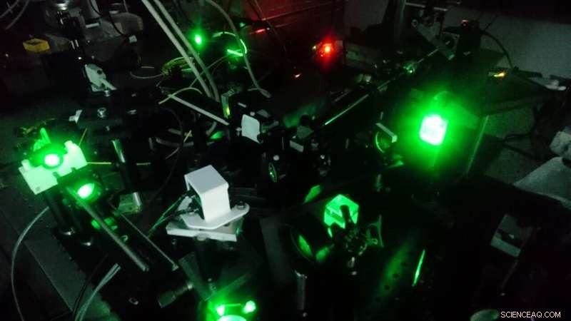 Revolutionary Lensless Endoscope Delivers 3‑D Imaging of Sub‑Cellular Objects