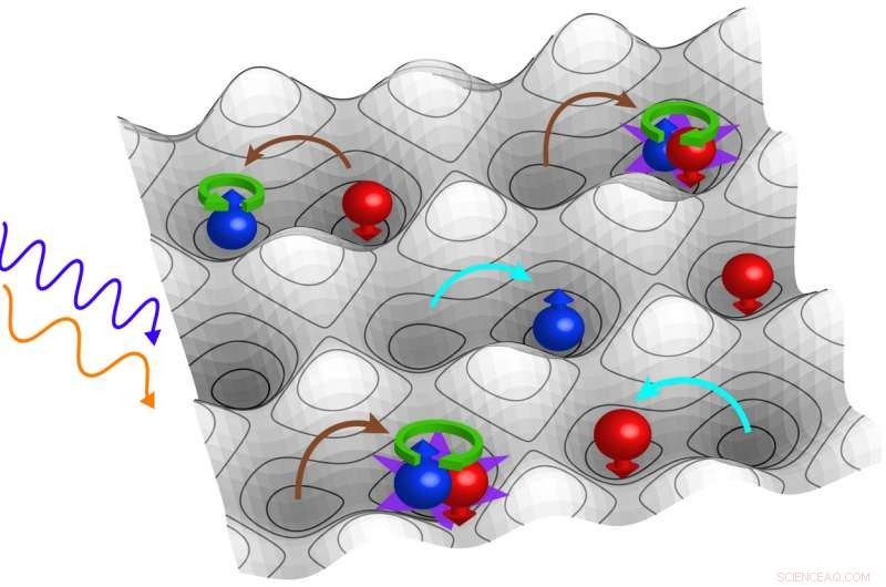Creating an Orrery for Quantum Gauge Theory: A Novel Framework for Visualizing Fundamental Interactions