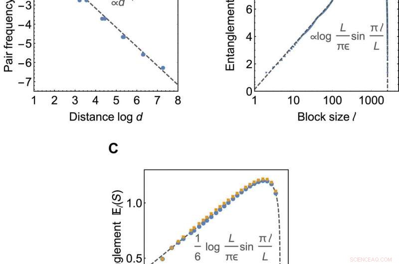 Exploring Holography and Criticality via Matchgate Tensor Networks