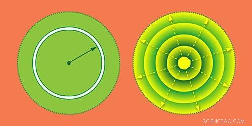 Linking Entangled Photons Through Radial Position and Momentum Correlations