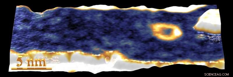Researchers Observe Spontaneous Skyrmion Formation in Atomically Thin Cobalt Films