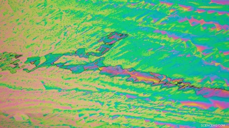 Scientists Engineer Living Liquid Crystals with Bacteria