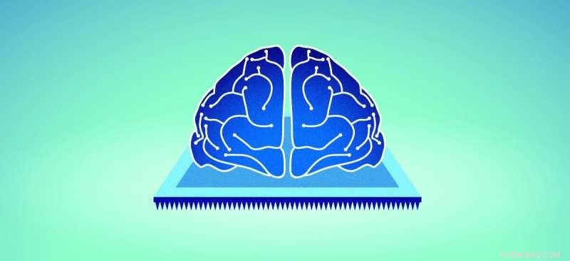 Physicists Develop Brain‑Inspired Synaptic Device to Mimic Biological Memory