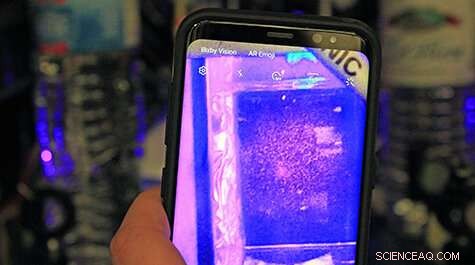 Detecting Weapons of Mass Destruction with Ultracold Atom Sensors