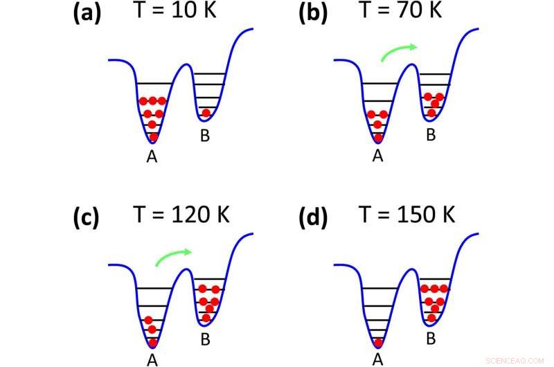 InGaN Quantum Wells: Verified Localization States Propel LED Performance Forward