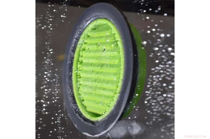 How Remora-Inspired Suction Disks Reveal Evolutionary Secrets of Marine Adhesion