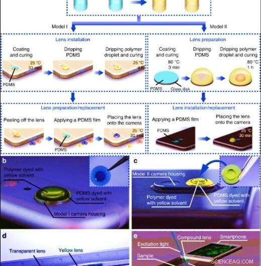 Transform Your Smartphone into a Portable Fluorescence Microscope
