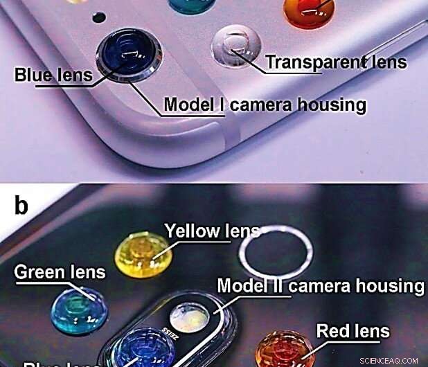 Transform Your Smartphone into a Portable Fluorescence Microscope