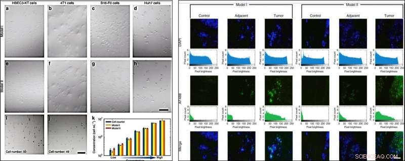 Transform Your Smartphone into a Portable Fluorescence Microscope