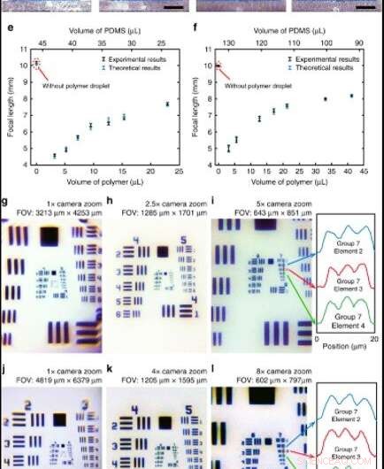 Transform Your Smartphone into a Portable Fluorescence Microscope