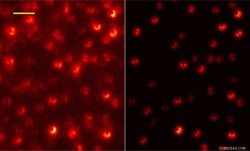Graphene Layer Enhances Super‑Resolution Microscopy Precision