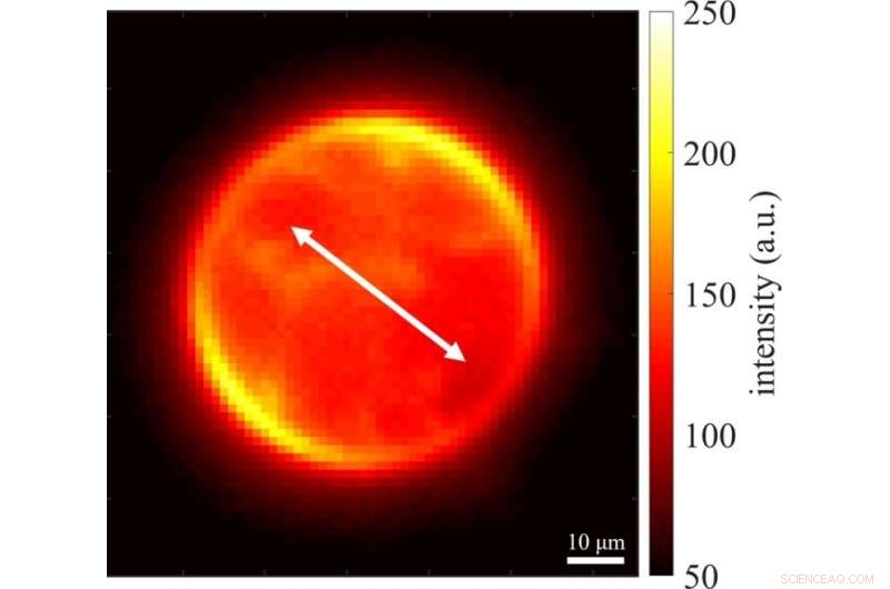 Graphene Layer Enhances Super‑Resolution Microscopy Precision