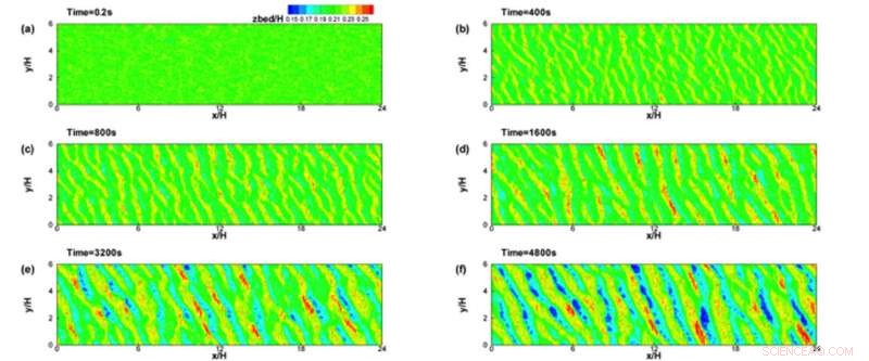 Numerical Simulations Unveil Key Mechanisms of Sand Dune Formation