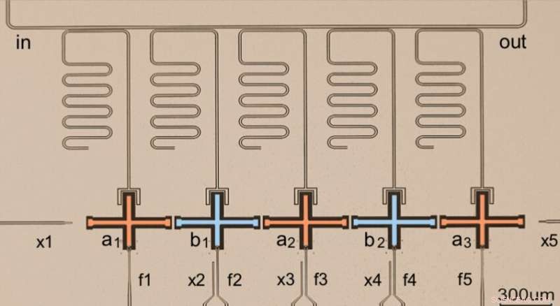 Detecting Topological Magnon Insulator States in a Superconducting Circuit