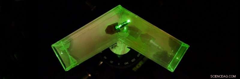 Light‑Powered Soft Robot Swims and Steers Using Only Light