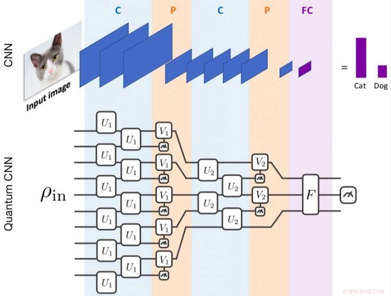 Quantum Convolutional Neural Networks: Advancing Machine Learning with Quantum Power