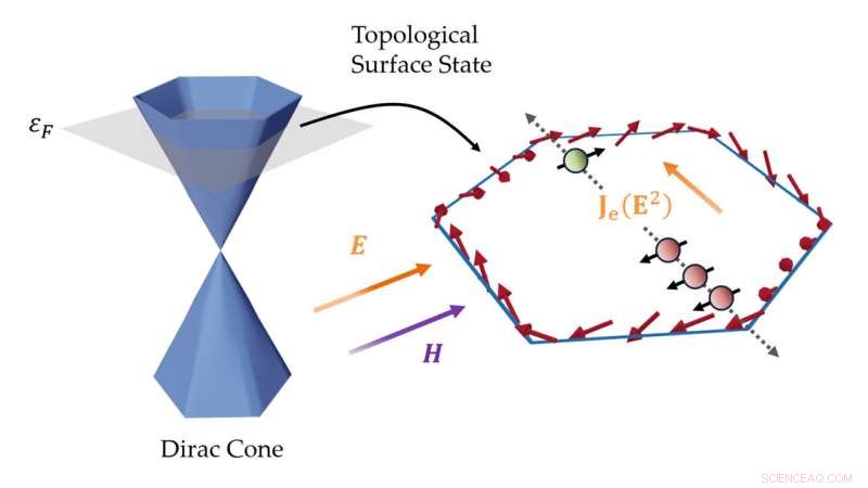 Unveiling the Inner Workings of Topological Insulators