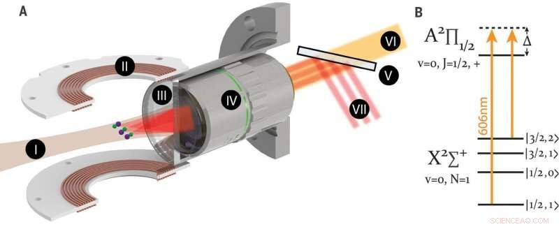 Ground-State Collision Studies Using Laser-Cooled Molecules in an Optical Tweezer Array
