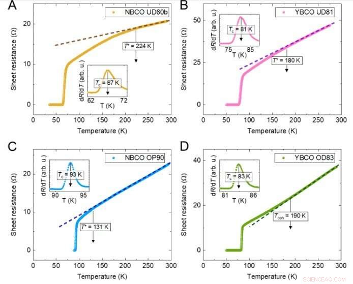 Mapping Dynamic Charge Density Fluctuations in Copper‑Based High‑Tc Superconductors