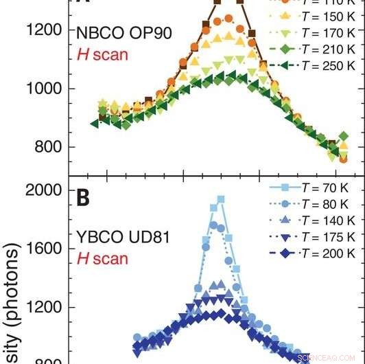 Mapping Dynamic Charge Density Fluctuations in Copper‑Based High‑Tc Superconductors
