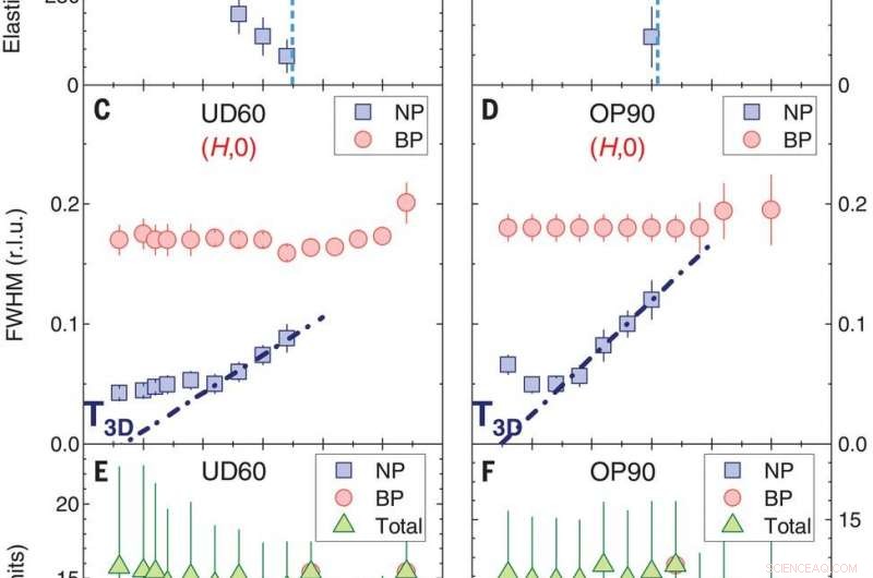 Mapping Dynamic Charge Density Fluctuations in Copper‑Based High‑Tc Superconductors