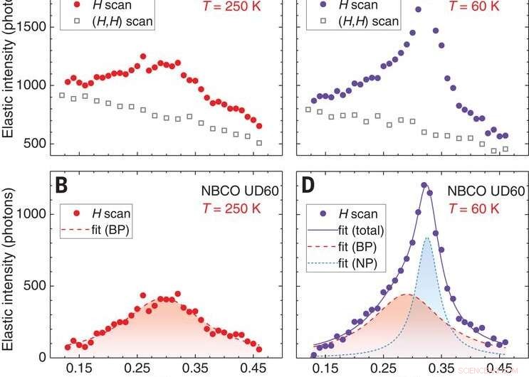 Mapping Dynamic Charge Density Fluctuations in Copper‑Based High‑Tc Superconductors