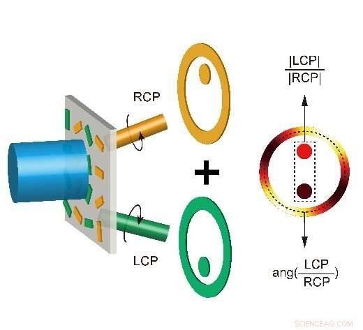 Metasurface Holograms: Rapid, Miniaturized Polarization Analysis for Advanced Spectroscopy and Sensing