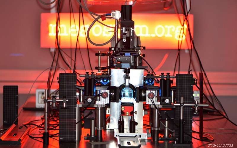 Advanced Microscopes Reveal Brain Organization Secrets