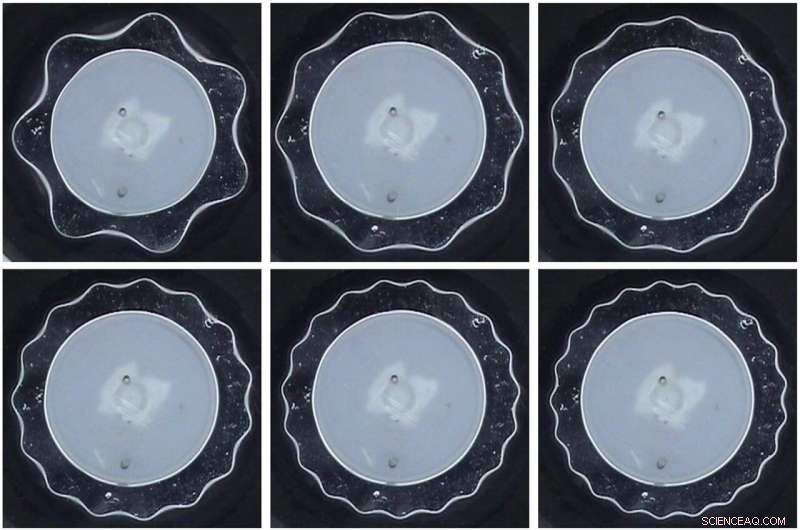 Pioneering Discovery: Stable Torus Resonance Frequencies in Fluids