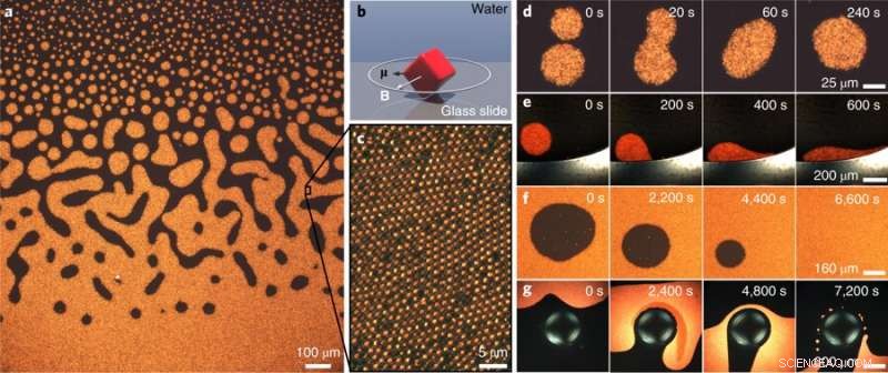 Chiral 2D Fluids Validate Hydrodynamic Theory