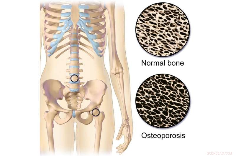 Revolutionary Ultrasound Technique Opens New Horizons in Medical Diagnostics
