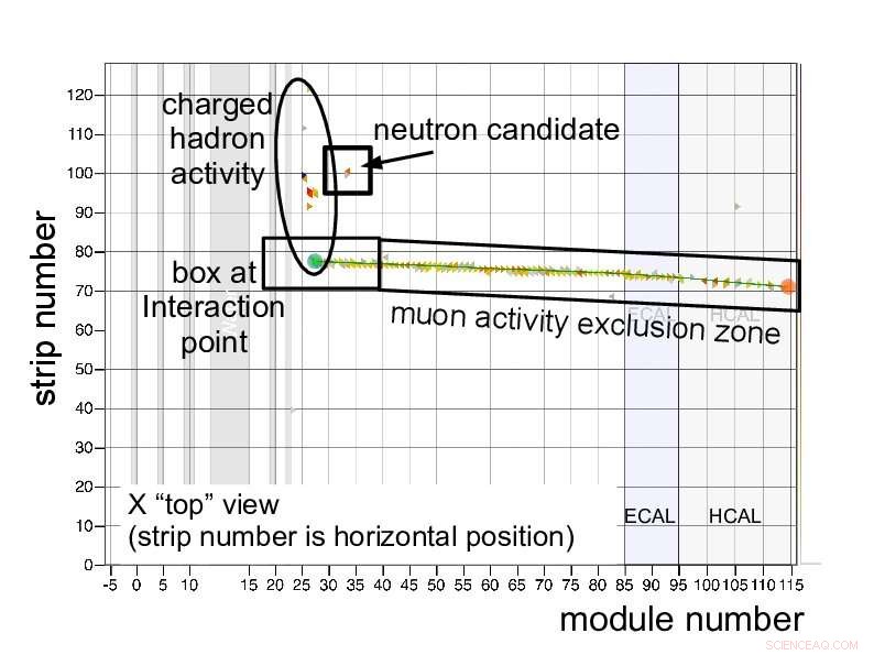 Unraveling the Energy Puzzle of Antineutrinos