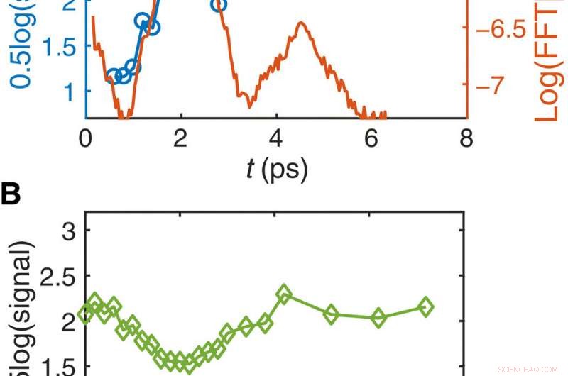 Ultrafast Optical Field–Ionized Gases: A Controlled Laboratory Platform for Investigating Kinetic Plasma Instabilities