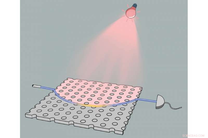 New Topological Phases Unveiled in Optical Materials by Leading Researchers