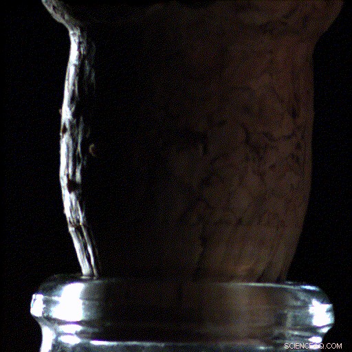 Champagne Cork Release Generates High-Speed CO₂ Freezing Jets
