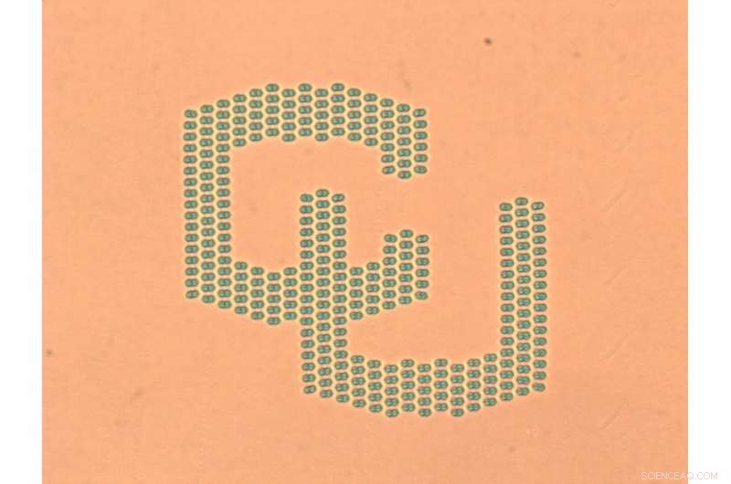 Mastering Microscopic Knot-Tying: A Step-by-Step Guide