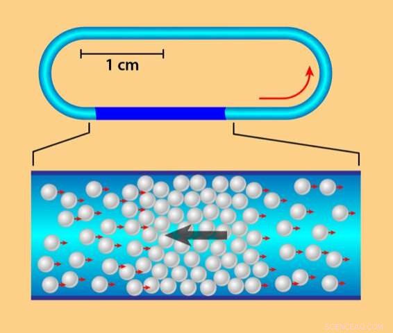 Groundbreaking Study Reveals Phase Transition in Synthetic Microbead Flock