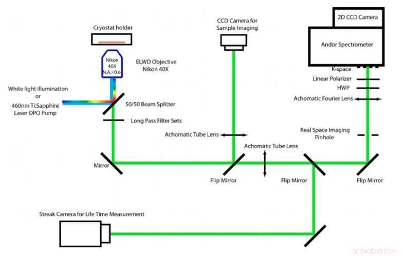 Unveiling Rydberg Exciton Polaritons and Their Condensate in Perovskite Cavities
