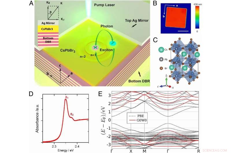 Unveiling Rydberg Exciton Polaritons and Their Condensate in Perovskite Cavities