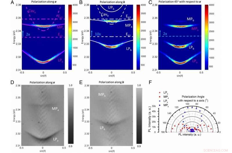 Unveiling Rydberg Exciton Polaritons and Their Condensate in Perovskite Cavities