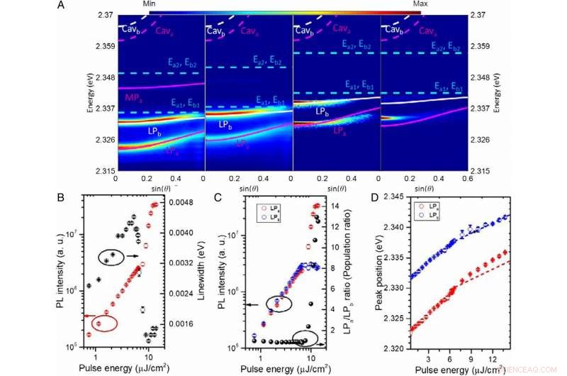Unveiling Rydberg Exciton Polaritons and Their Condensate in Perovskite Cavities